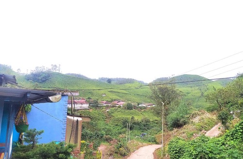 Nullatanni House | Casper Cottage Munnar