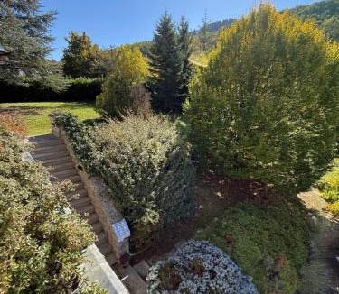 Castiglione dei Pepoli Bed & Breakfast | Castelvetri B&B