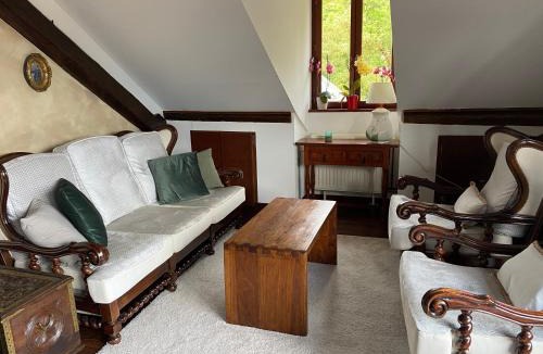 Menthon-Saint-Bernard House | Castle View Menthon