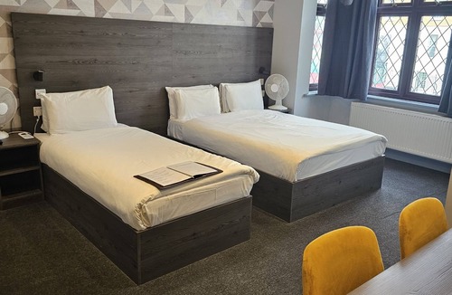 Cricket Green Hotel | Casuarina Tree