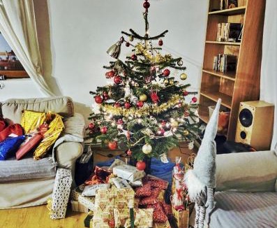 Balta House | Casuta de la Munte