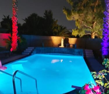 Paradise House | CATmosphere