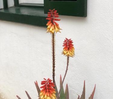 Graaff-Reinet Apartment | CatsWhiskers