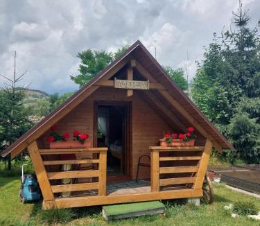 Bistra House | Cazare la Munte cu Piscină