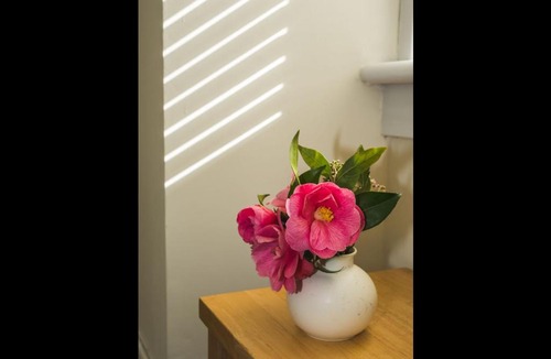 Helensburgh Apartment | Cedar Apartment