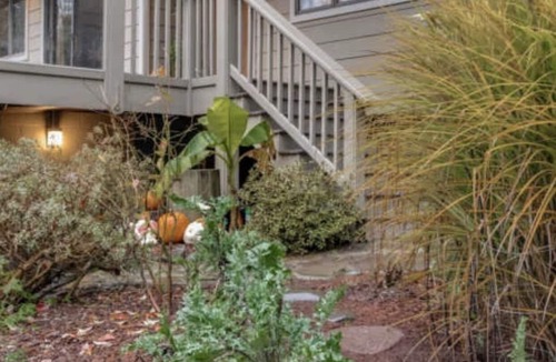 Carson House | Cedar Creek Sanctuary. 3br on Nat. Forest Land. Outdoor adventure basecamp.