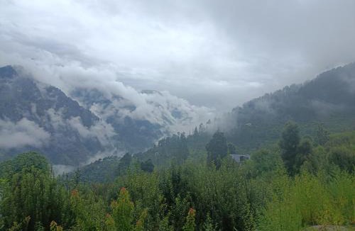 Kullu Villa | Cedar Forest BnB Villa