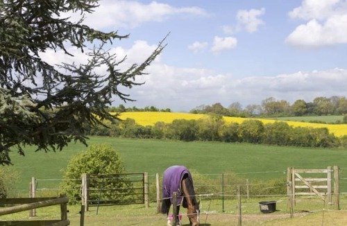 Whitchurch Cabin | Cedar Tree is a compact yet luxurious shepherd’s hut for couples overlooking the North Wessex Downs.
