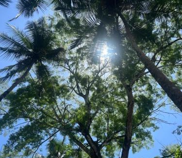 Drake Bay Hotel | Ceiba lodge