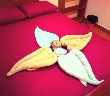 Drake Bay Hotel | Ceiba lodge