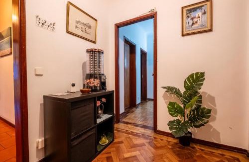 Santo Antonio dos Olivais House | Celas Dream Studio