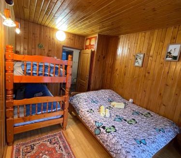 Predeal House | Celesta Trei Brazi