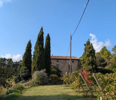 Santa Maria d'Olo House | Celler Colltor