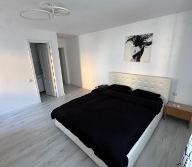 Dragasani Apartment | Center