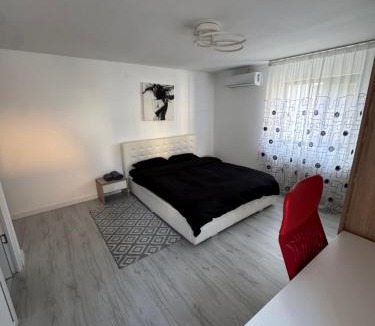 Dragasani Apartment | Center