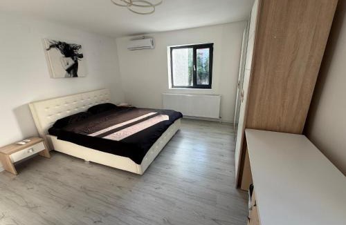 Dragasani Apartment | Center