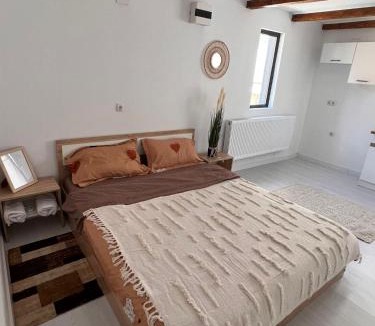 Dragasani Apartment | Center