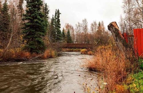 Taku - Campbell Apartment | Central 2BR Anchorage Adventure Hub