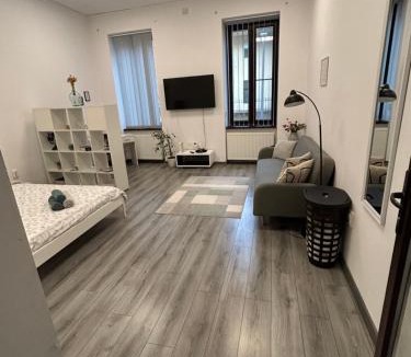 Cluj-Napoca City Centre Apartment | Central Apartment