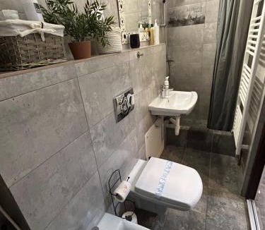 Cluj-Napoca City Centre Apartment | Central Apartment
