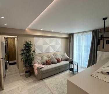 Craiova Apartment | Central Apartment