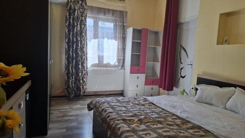 Lugoj Apartment | Central Cozy Home
