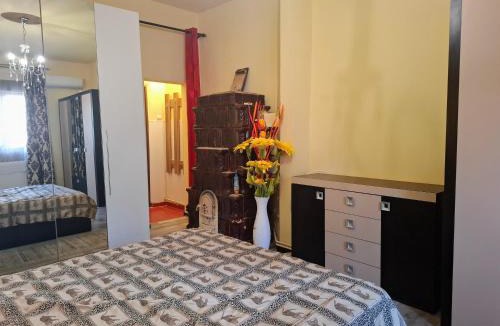 Lugoj Apartment | Central Cozy Home