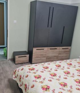 Sighetu Marmatiei Apartment | Central Flat