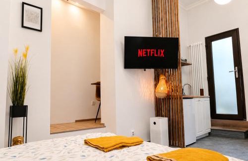 Cluj-Napoca City Centre Apartment | Central Haven Cluj
