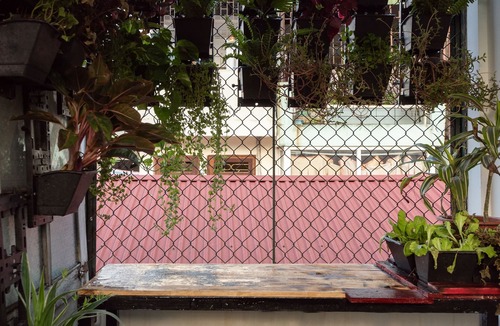 Van Mieu Apartment | Central Location with Wide Window and Roof-top Garden