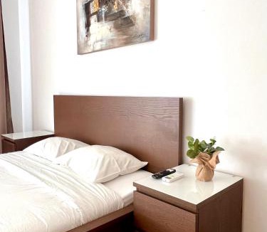Targoviste Apartment | Central Loft Studio Târgoviște
