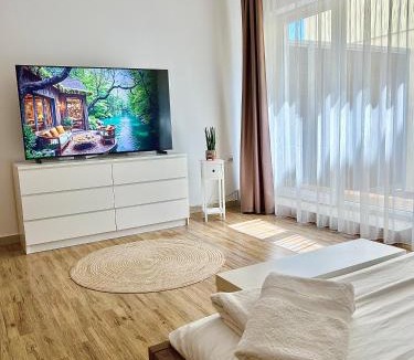 Targoviste Apartment | Central Loft Studio Târgoviște