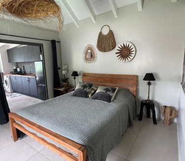 Morne Criquet Apartment | CENTRAL PALM
