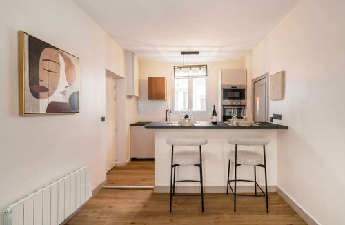Plaisance Apartment | Central Paris Deluxe flat for 5 near Montparnasse