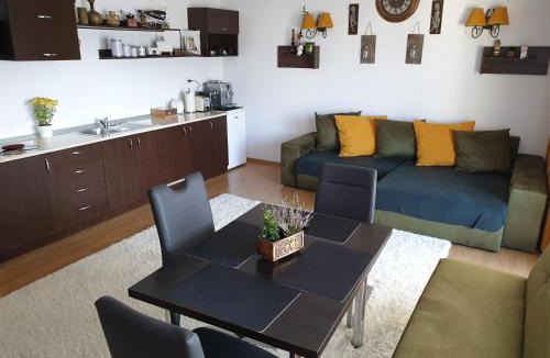 Emanoil Gojdu Apartment | Central Residence