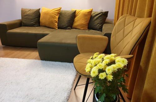 Emanoil Gojdu Apartment | Central Residence