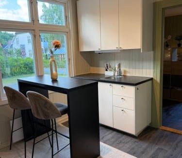 Notodden Apartment | Central Studio apartment