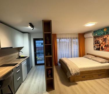 Drobeta-Turnu Severin Apartment | Central suites