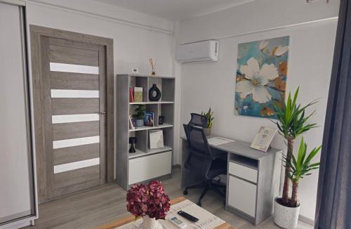 Tirgu Mures Apartment | Central Urban Studio with Underground Parking