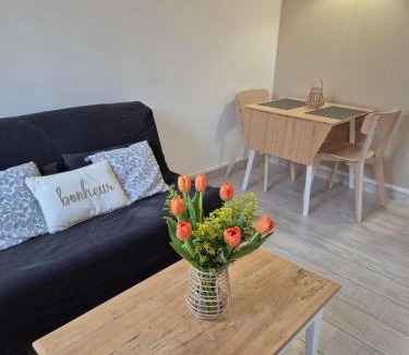 Chartres Apartment | Centre Chartres Parking privé Climatiseur
