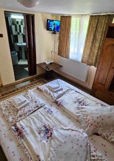 Bozovici Villa | cerbu
