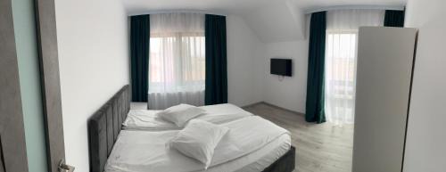 Codlea Villa | Cezar House