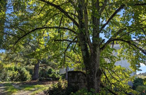 Saint-Vincent-Rive-d'Olt Bed & Breakfast | Château La Carrétale