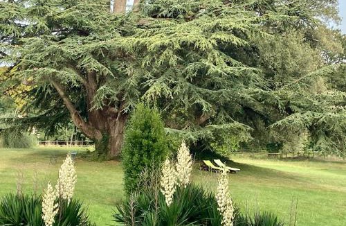 Tierce Hotel | Château La Bainerie