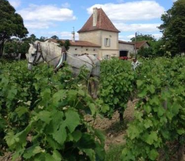Petit-Palais-et-Cornemps House | Château Vieux Mougnac