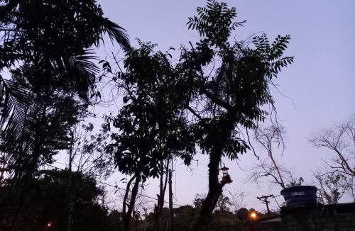Caiubura House | Chacara Bertioga