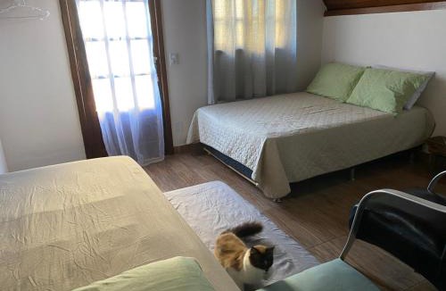 Sao Jose Other | Chalés Búzios