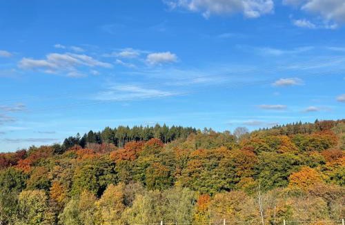 Rhode House | Chalet am Biggesee