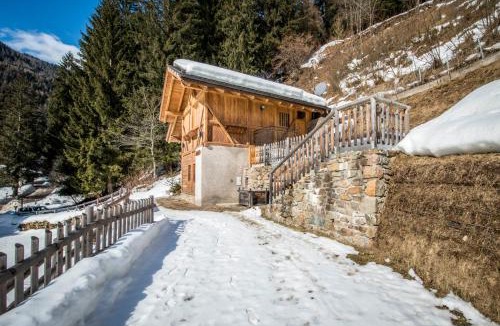 Rabbi Ski Chalet | Chalet Bambi