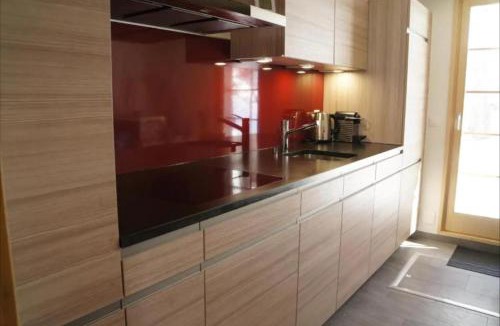 Ernen Apartment | Chalet Berken